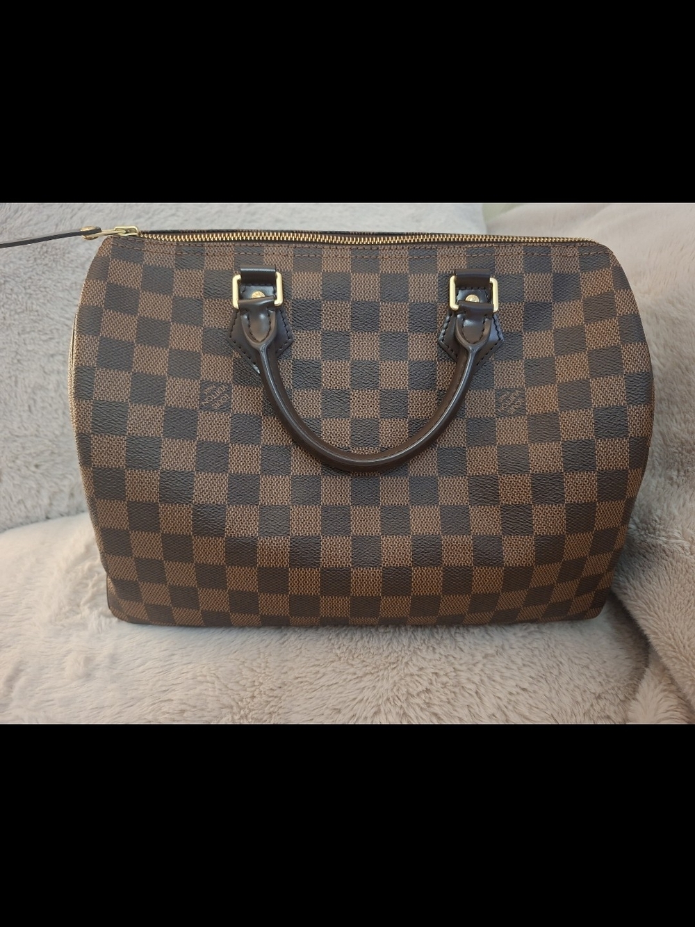 Louis Vuitton Damier Ebene Speedy 30